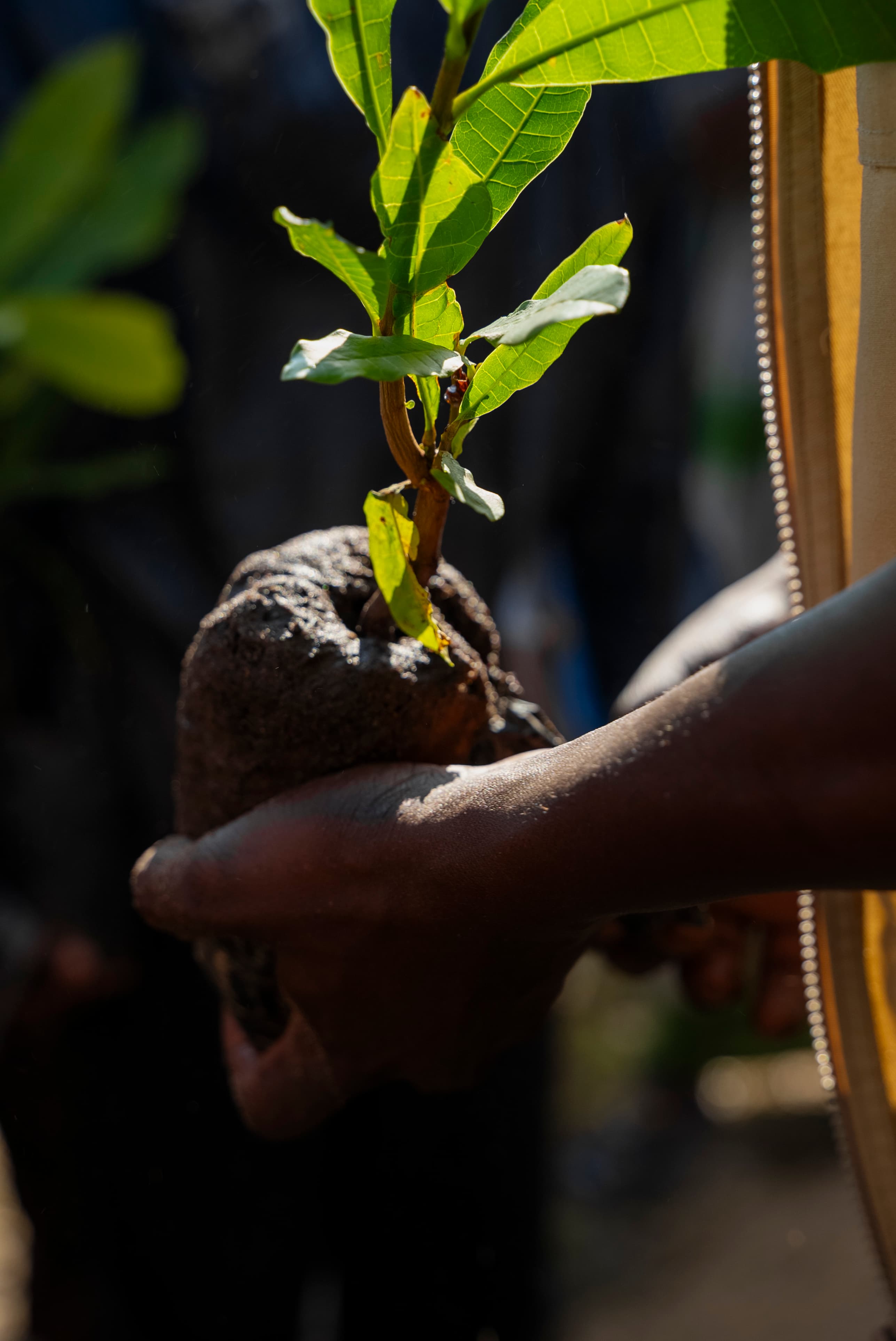 Climate, Energy and Environment